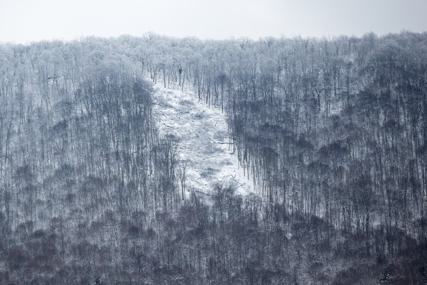 Near the top of the ridge on Peters Mountain a tree sitters tent  hovers above the recently cut right of way for the Mountain Valley Pipeline.
