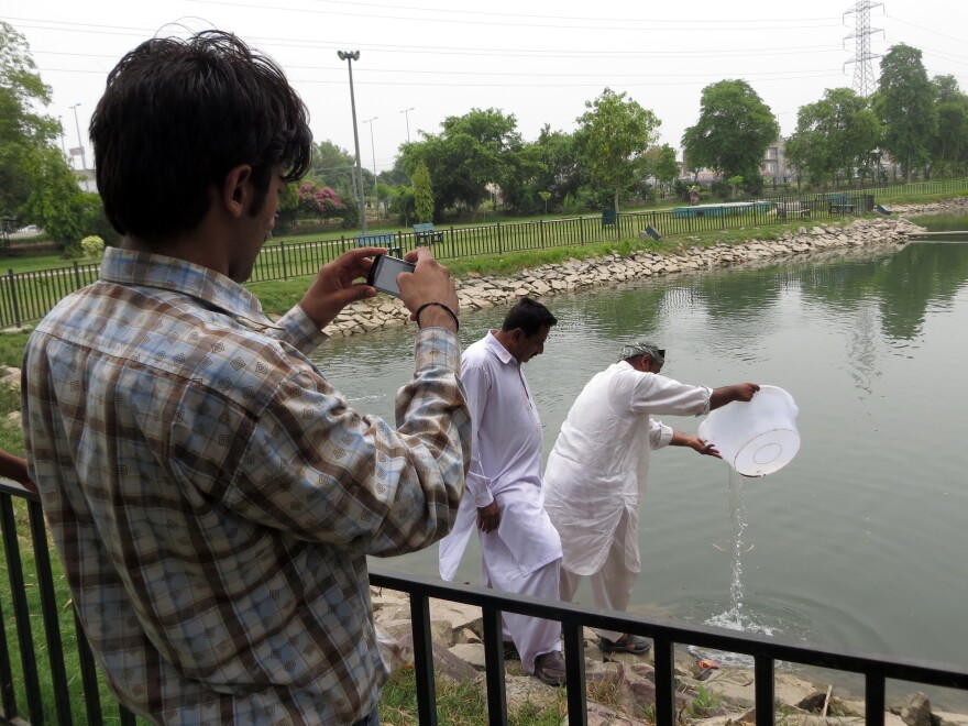 Workers drop tilapia fish into a small pond at a neighborhood park, as an inspector enters the activity into the Clean Lahore app. The fish eat the larvae of mosquitoes that spread dengue fever.