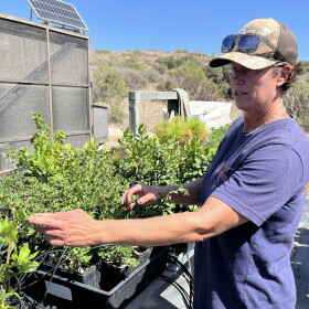Restoration ecologist Michelle Gados at Santa Rosa Island’s native plant nursery.