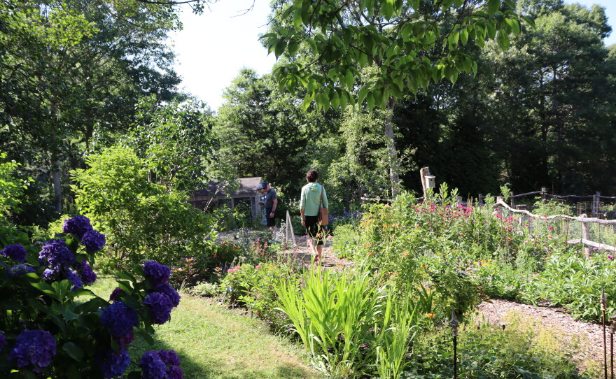 Photos of the home garden of CAI's The Garden Lady, C.L. Fornari 