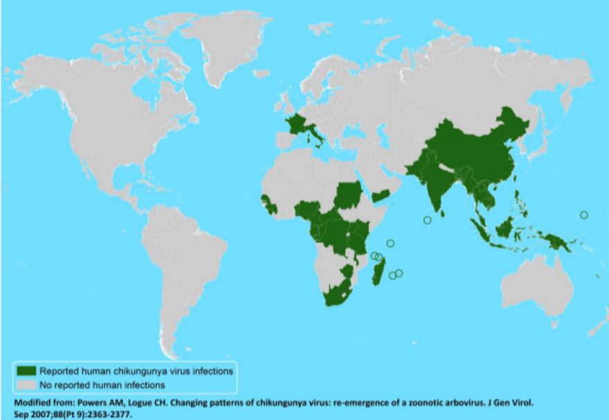 Before the current outbreak in the Caribbean, chikungunya was found only in parts of sub-Saharan Africa, Asia and southern Europe.