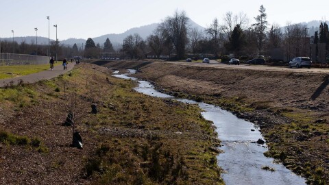 The restored bank of the Amazon Creek, Jan. 23, 2026.