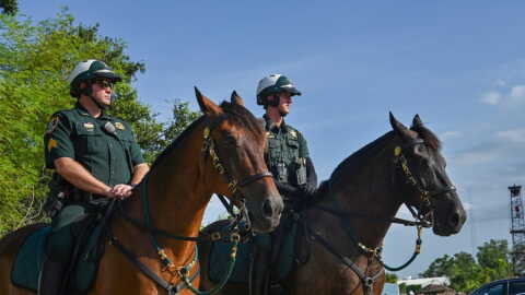Two Sarasota County Sheriff's deputies on horseback.