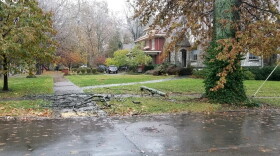 KU/LG&E say when power lines and limbs are down following a storm, passersby should let experts pick them up.