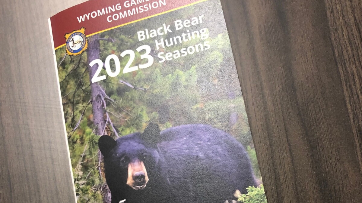 A black bear hunter mistakenly killing a grizzly begs the question, are black bear hunters educated well enough? - Vimarsana News