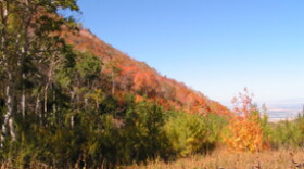 Fall Colors in Cache County