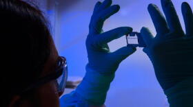 This photograph depicted an Enteric Diseases Laboratory Branch (EDLB) public health scientist, holding up a glass slide used for a run on a sequencing machine.