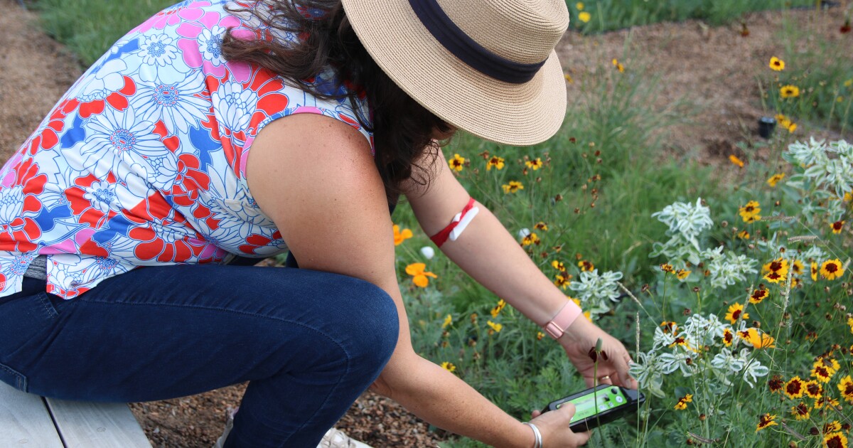 Colorado Edition Green roofs, a tap water taste test and pedometers on