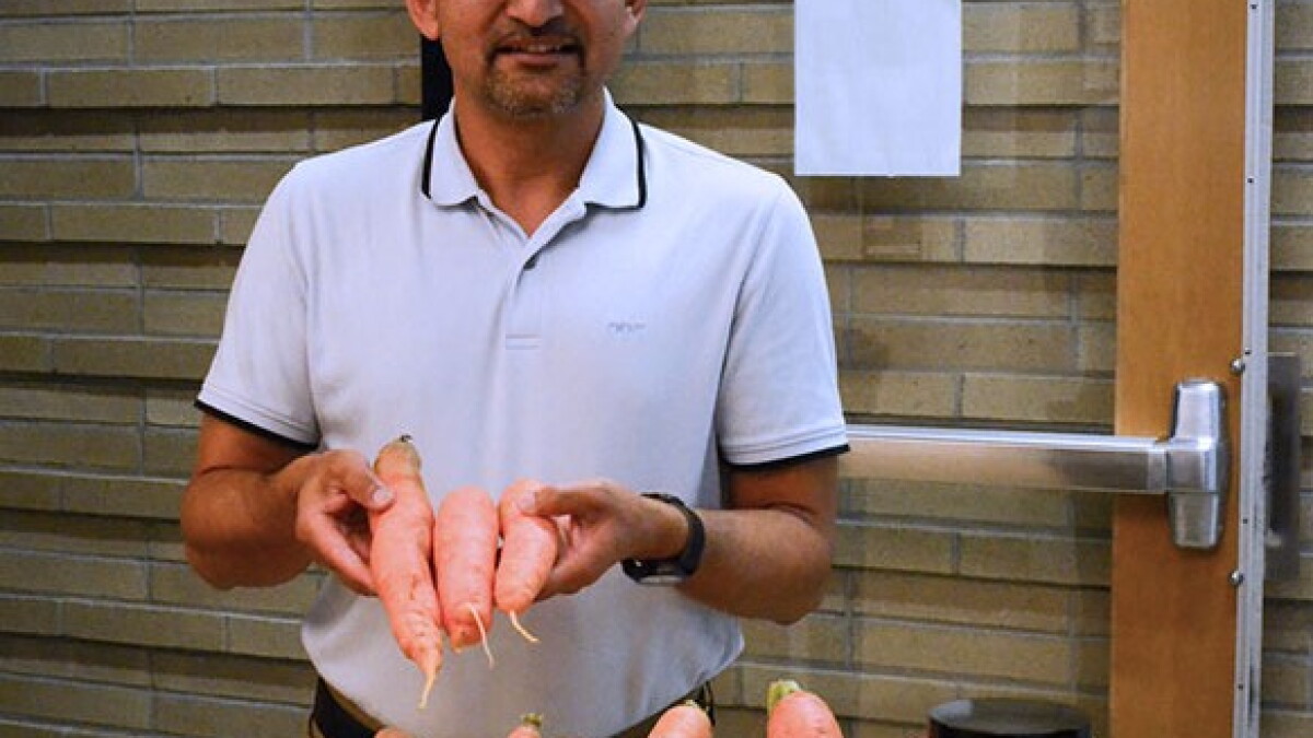 Want to grow bigger carrots? A coal byproduct could help