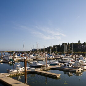 Boats sit in slips at the Port of Brookings Harbor under a clear blue sky.