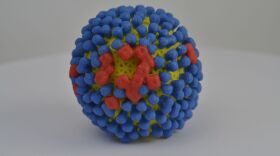3D print of influenza A virus. The virus surface (yellow) is covered with proteins called hemagglutinin (blue) and neuraminidase (red) that enable the virus to enter and infect human cells. For more information, visit the NIH 3D Print Exchange at 3dprint.nih.gov.