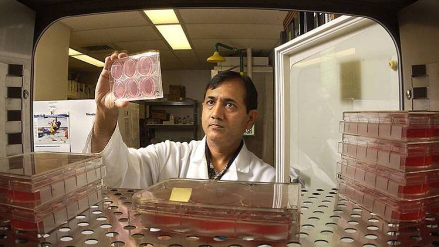 Suresh Mittal, a professor of comparative pathobiology in Purdue's College of Veterinary Medicine, leads research into a broad spectrum vaccine capable of covering emerging avian influenza viruses.