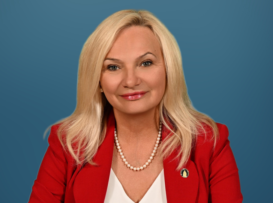 Republican incumbent LeAnn Pierce is on the ballot to retain her seat on the New Hanover County Board of Commissioners, with the election taking place Tuesday, Nov. 3, 2026. (Courtesy photo)