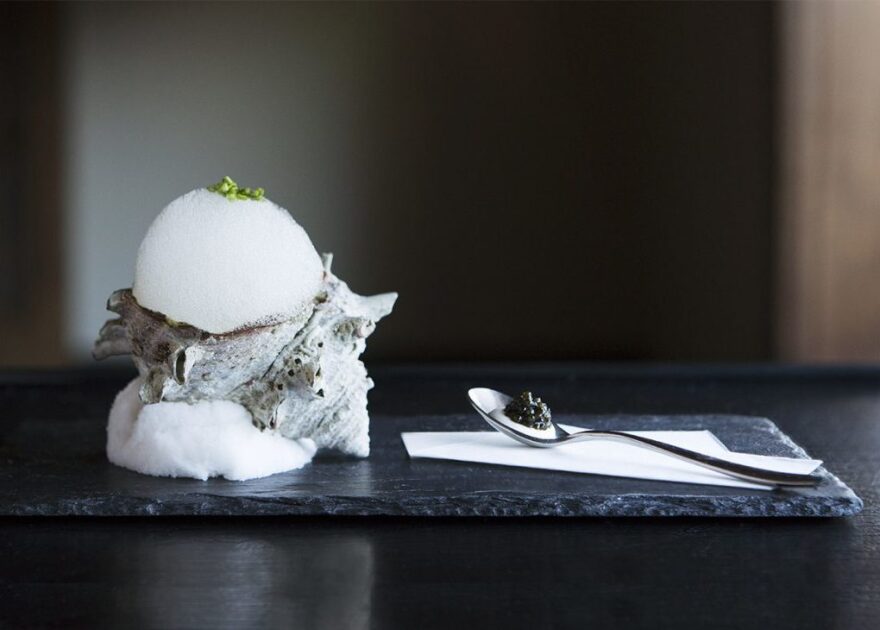 Dashi foam served on a conch shell at N/Naka. Delicate plating involving elements of nature are part of the kaiseki experience.