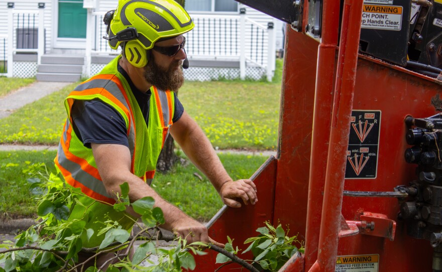 Kirk Feinauer, an aborist with the city of Midland, loads trimmed tree branches into a woodchipper while raising canopies on Thursday, June 18, 2026.