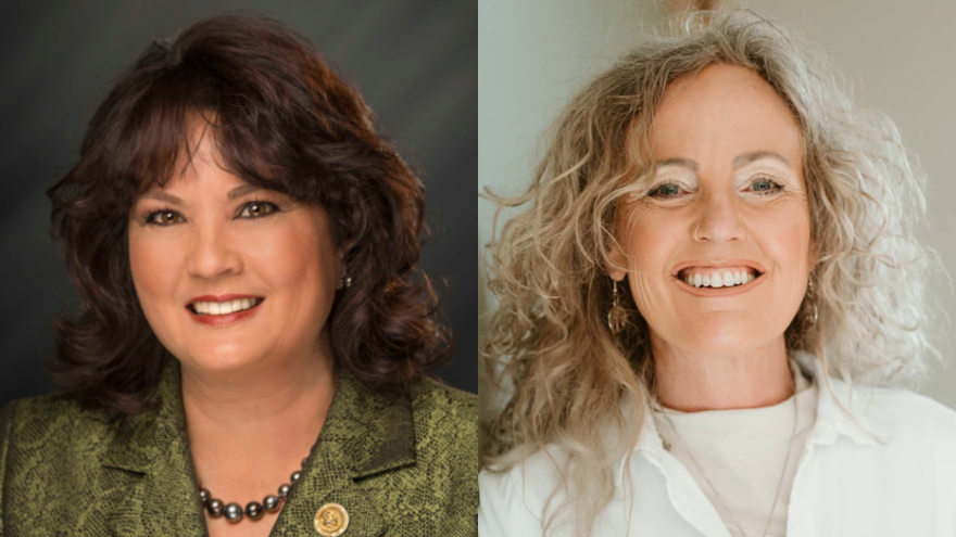 Indiana House District 60 candidates from left to right: Incumbent Republican Peggy Mayfield and Democrat Carrie Syczylo.