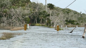 Nor'easter and King Tides caused coastal flooding at the Timucuan Ecological & Historic Preserve﻿ in Northeast Florida.