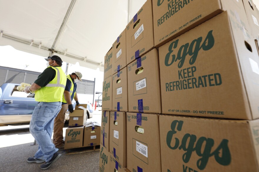 FILE - Cases of eggs from Cal-Maine Foods, Inc., await to be handed out by the Mississippi Department of Agriculture and Commerce employees at the Mississippi State Fairgrounds in Jackson, Miss., on Aug. 7, 2020. The largest producer of fresh eggs in the United States said Tuesday, April 2, 2024 that it has stopped production at a Texas plant after bird flu was found in chickens there. Cal-Maine Foods, Inc. said in a statement that approximately 1.6 million laying hens and 337,000 pullets, about 3.6% of its total flock, were destroyed after the infection, avian influenza, was found at the facility in Parmer County, Texas. (AP Photo/Rogelio V. Solis, file)