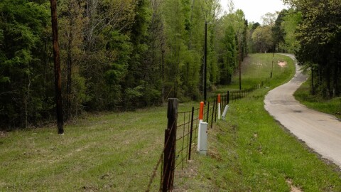 A heavily wooded property off of a country road near Athens in Henderson Co. on April 1, 2019. Diode Ventures has withdrawn plans for a datacenter in the East Texas county.