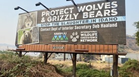 A billboard on the Nez Perce Reservation calling for Idaho to restrict wolf hunting. The Nez Perce Tribe played a critical role in bringing wolves back to Idaho and some tribe members say they worry their work is being undone as Idaho tries to kill 70% of its wolf population.