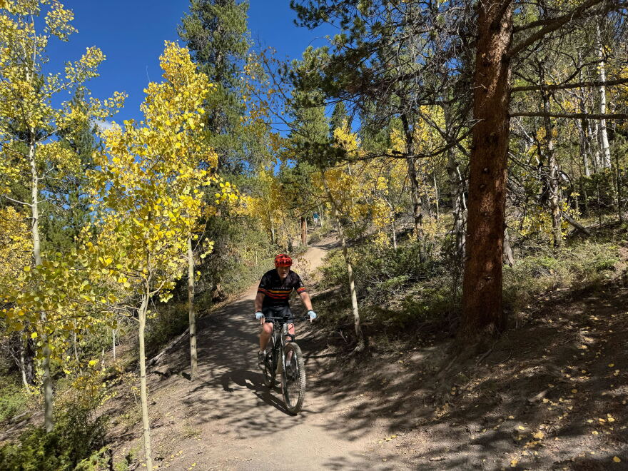 A mountain biker descends the Aspen Alley trail in Breckenridge. The area is one of the most popular spots in Colorado to see fall colors.