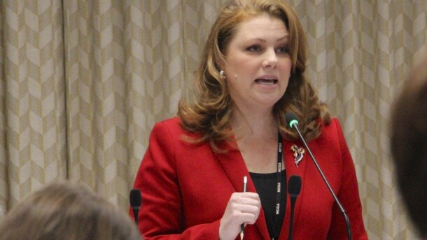 North Carolina state Rep. Erin Paré, the only Republican in Wake County's legislative district, presents her proposal to change how members of the Wake County Board of Commissioners are elected during a committee meeting at the Legislative Building in Raleigh, N.C., on Tuesday, Feb. 21, 2023. Paré of Wake County announced her plans on Wednesday, Aug. 30 to seek to represent what is now the 13th Congressional District, which includes portions of Raleigh and fast-growing communities to the south and east. (AP Photo/Hannah Schoenbaum, File)