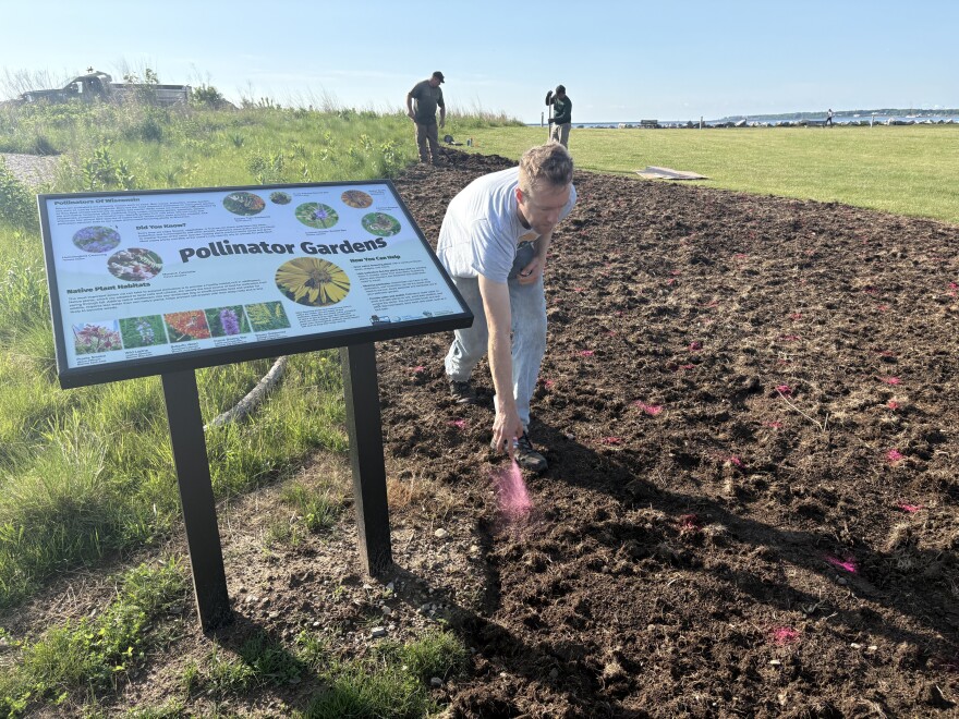 Eric Manges marks the spots where 2,000 native plants will be added to Lakeshore State Park.