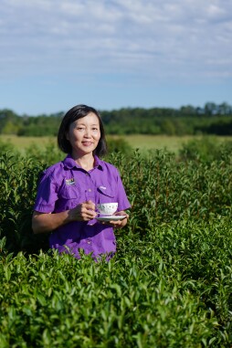 LSU AgCenter horticulturist Yan Chen is photographed in tea plants at the Hammond Research Station, July 27, 2022.