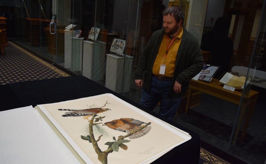 Timothy Rush displays the page with an illustration of two Red-shouldered Hawks.
