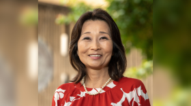 Sylvia Luke, Democratic candidate for lieutenant governor