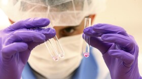 A criminalist examines for DNA evidence at a lab in the NYC Office of Chief Medical Examiner, Friday, June 4, 2010, in New York. (Mary Altaffer/AP)
