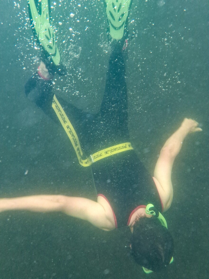 Luke Bolander, conservation technician, dives to remove aquatic invasive plants.