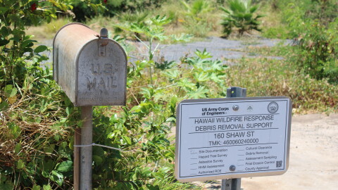 An image of burned-out mailbox in front of a lot where a home once stood in Lahaina, Maui. 
