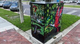 Traffic box in Maitland using art to deter graffiti