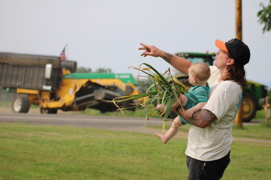 Ryan Dudek and his son, Marian, harvest garlic from the front yard of their home in King Ferry.