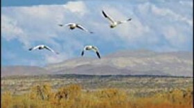 Scott Weidensaul's new book, <I>Return to Wild America -- A Yearlong Search for the Continent's Natural Soul</I> is one of many nature books and rootsy CDs recommended here.