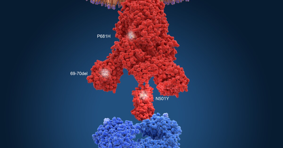 Where Did The Coronavirus Variants Come From?