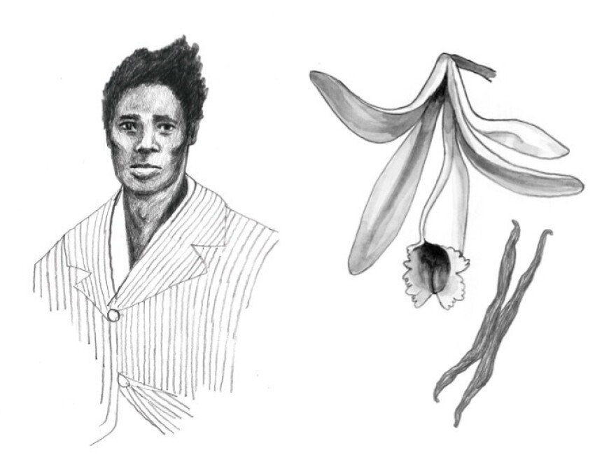 Slave Edmond Albius and a vanilla plant: "Vanilla is here thanks to a 12-year-old slave who figured out a botanical secret no one else knew," Lohman writes.