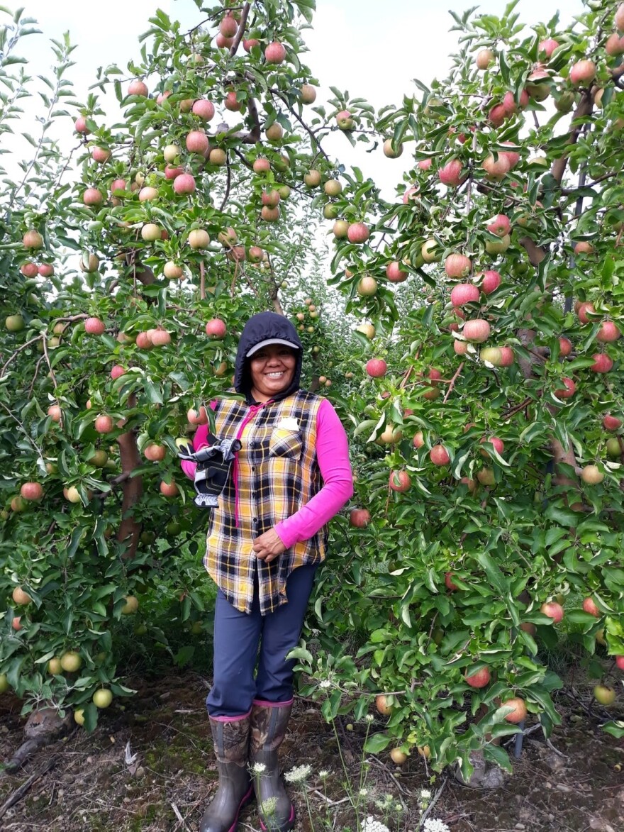 Dolores Bustamante is a farmworker originally from Mexico. She says while she is treated well on the farm where she works, other migrant workers in the community are not.