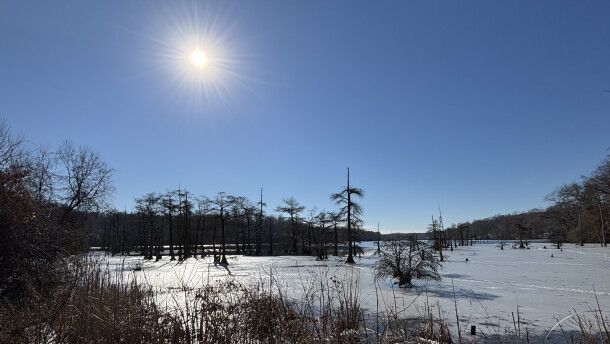 A view of Sunken Meadow Pond in Surry County during icy weather in January 2025.