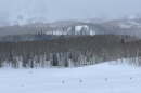 Almost 4,000 people used Park City's winter shuttle to access Bonanza Flat trails during the winter of2025-2026.