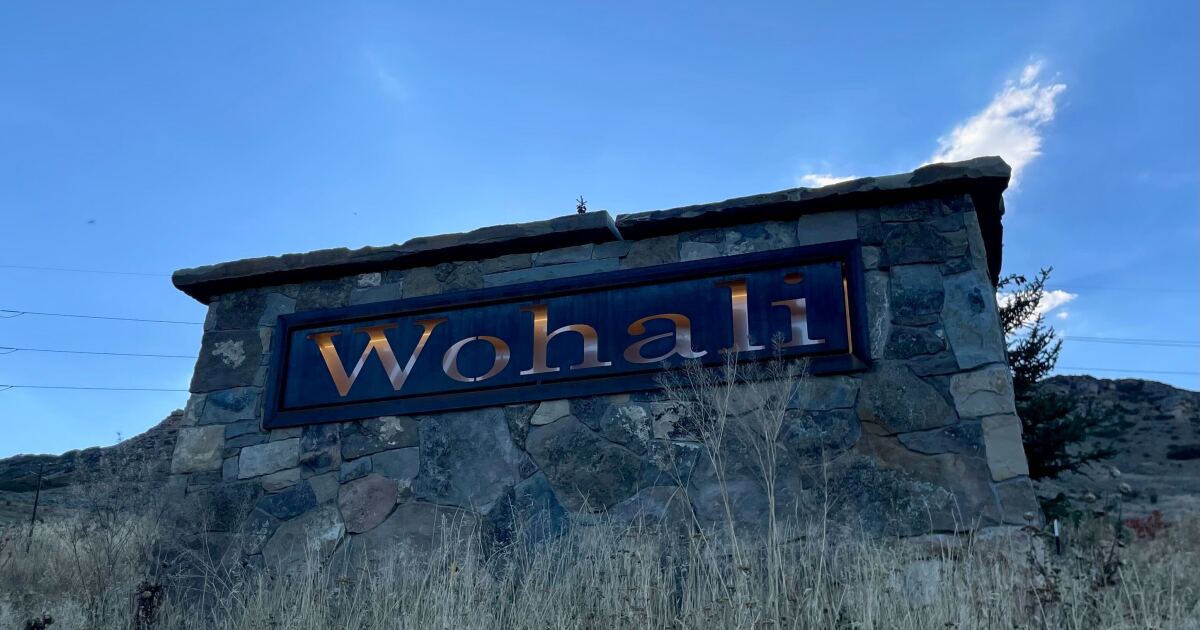 State forester joins swirling legal battles ahead of Wohali auction