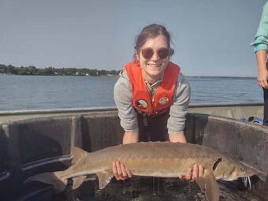 Holly Embke holds a lake sturgeon.