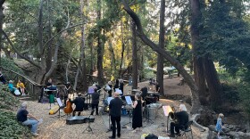 The Ambient Bird Ensemble