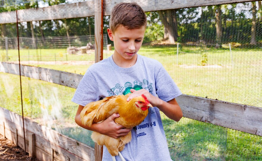 Charley holding his favorite chicken, a mustard-colored chicken named Donald Bufforfington.