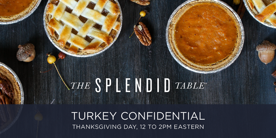 Turkey Confidential