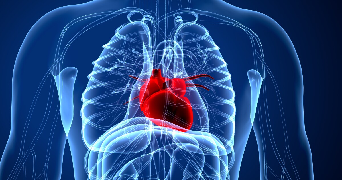 Heart Disease in Young Women & The Future of Augmented Reality | Connections