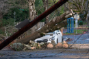 FILE - A car is crushed by a fallen tree on Northeast 24th Avenue, Dec. 17., 2025 in Portland.
