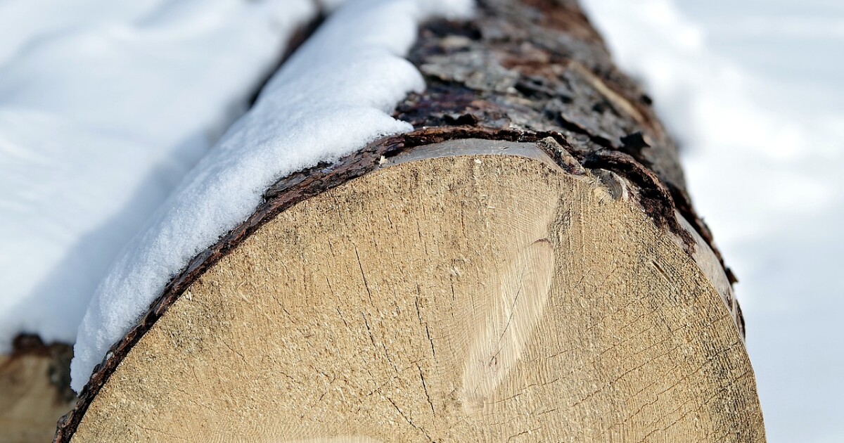 Wisconsin lumber company fined nearly 300,000 for dangerous conditions