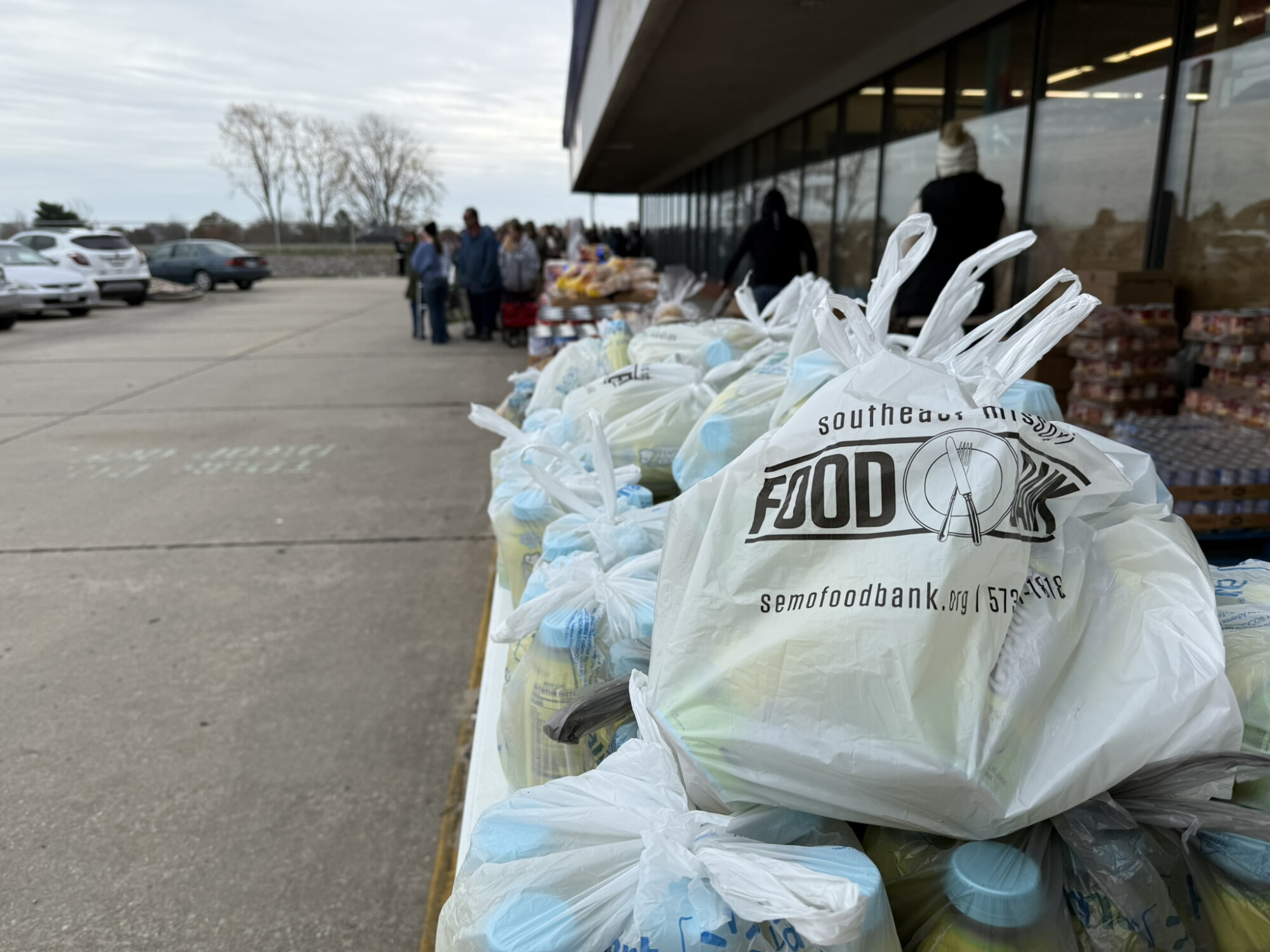 Going Public: Heather Collier Talks About Efforts of Southeast Missouri Food Bank Over Holiday Season Amidst Food Assistance Uncertainty episode artwork